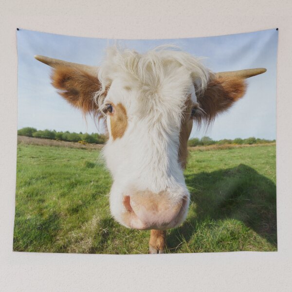Item preview, Highland Cow Getting Close designed and sold by rawshutterbug.