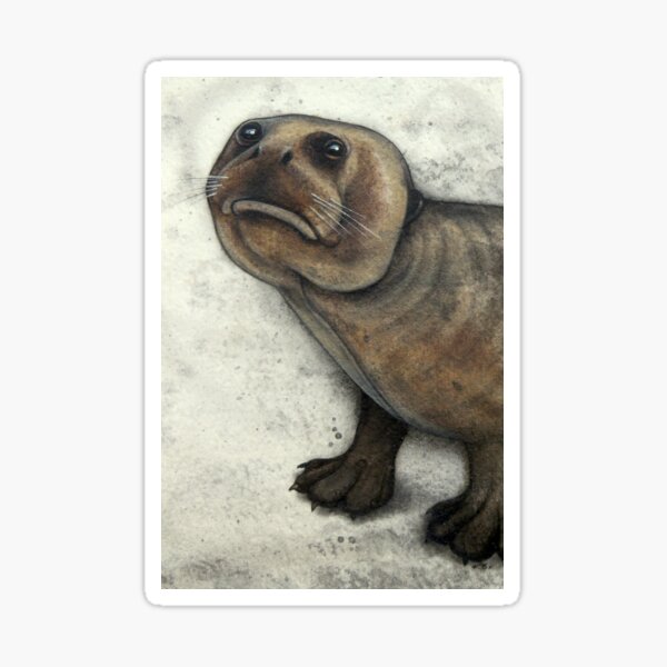 Item preview, Sad Otter designed and sold by A Curious Bestiary.