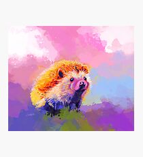 Sweet Hedgehog - cute animal, colorful painting, digital painting Photographic Print