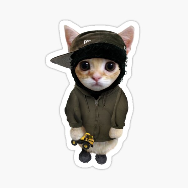 Cute Cat Aesthetic Pfp Gifts & Merchandise for Sale