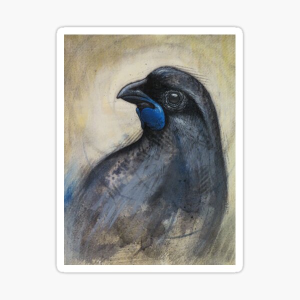 Item preview, Kokako Study  designed and sold by A Curious Bestiary.