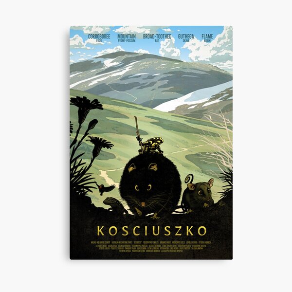 Kosciuszko summit walk Canvas Print