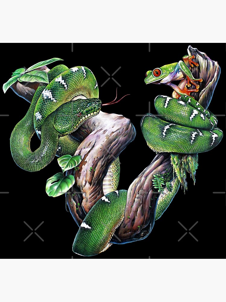 Disover Tree Frog and Emerald Tree Boa Premium Matte Vertical Poster