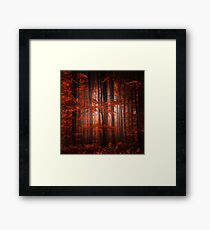 Red Parallel Universe Framed Print
