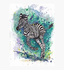 Spunk Punk Zebra Fotodruck