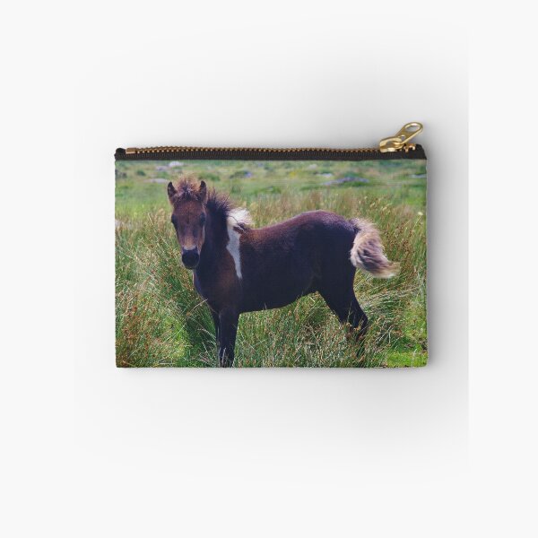 Item preview, Dartmoor Foal designed and sold by lezvee.