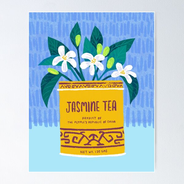 Beautiful Jasmine Flowers White – Wallmonkeys