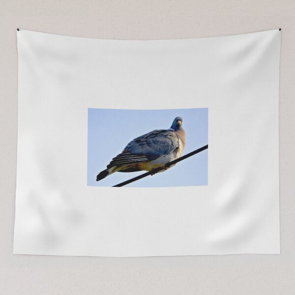 Item preview, Eye contact designed and sold by MarekM.