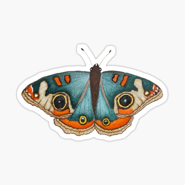 Item preview, Common Buckeye Butterfly Watercolor Illustration  designed and sold by NikaIllustrates.