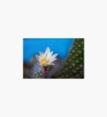Flower macro Art Board