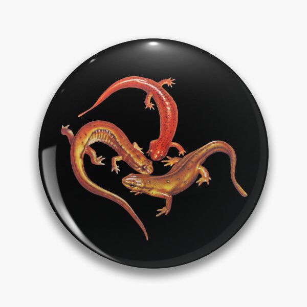 Item preview, Salamanders designed and sold by Salmoneggs.