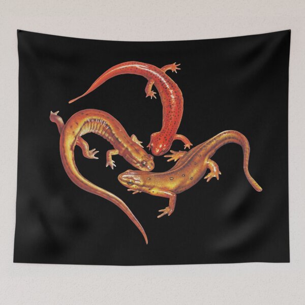 Item preview, Salamanders designed and sold by Salmoneggs.