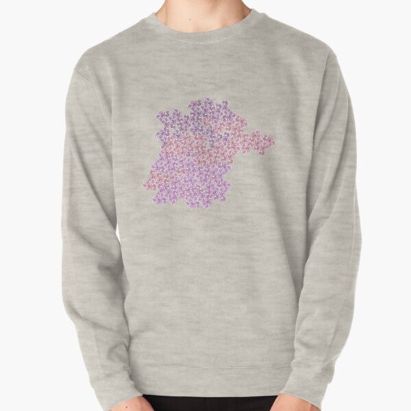 Palimpsest Pullover Sweatshirt