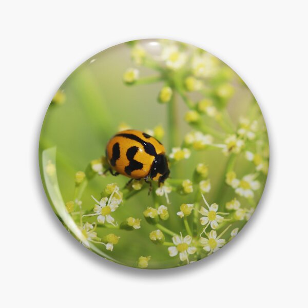 Item preview, Ladybird on Parsley designed and sold by NakedSunday.