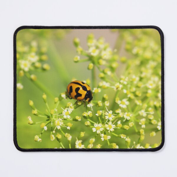 Item preview, Ladybird on Parsley designed and sold by NakedSunday.