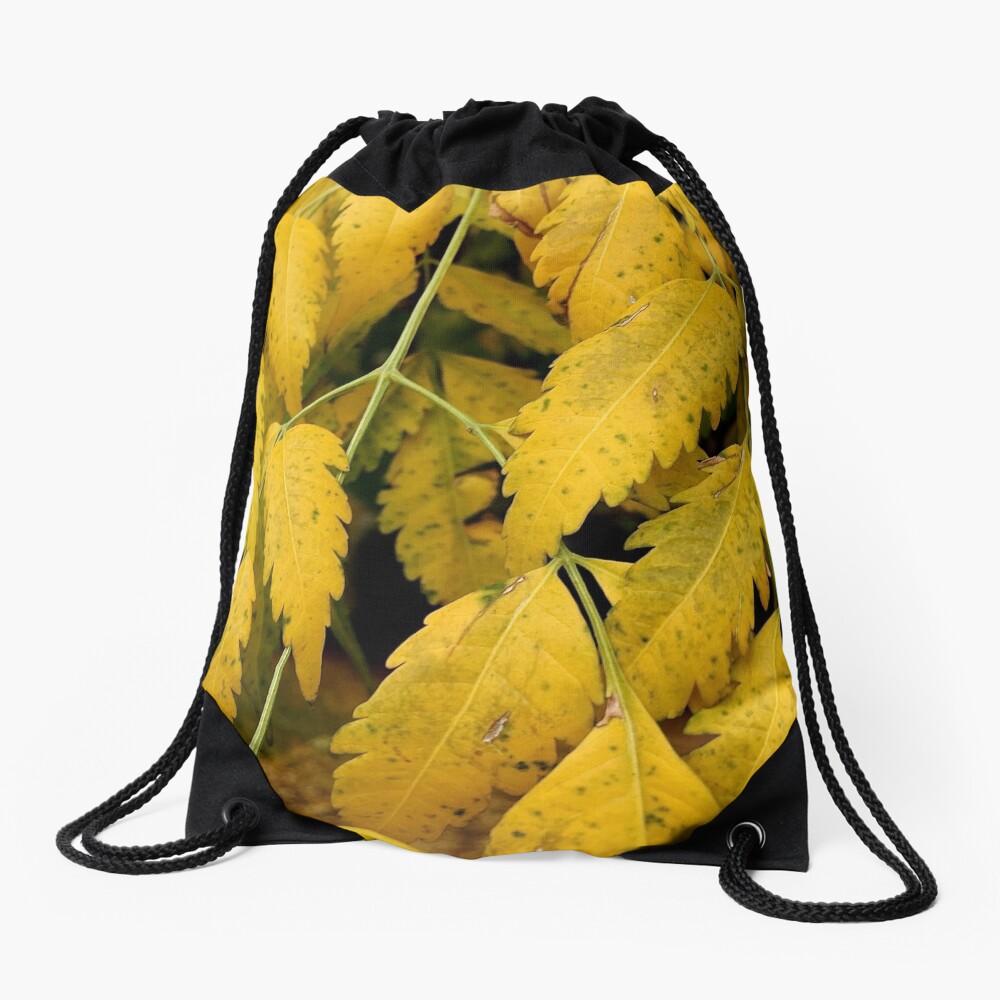 Wisteria Leaves in the Fall Drawstring Bag
