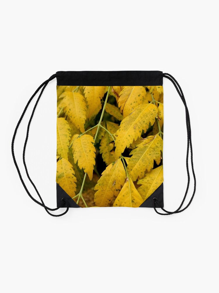 Alternate view of Wisteria Leaves in the Fall Drawstring Bag