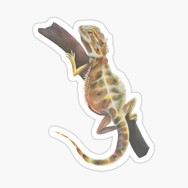 Bearded dragon Sticker
