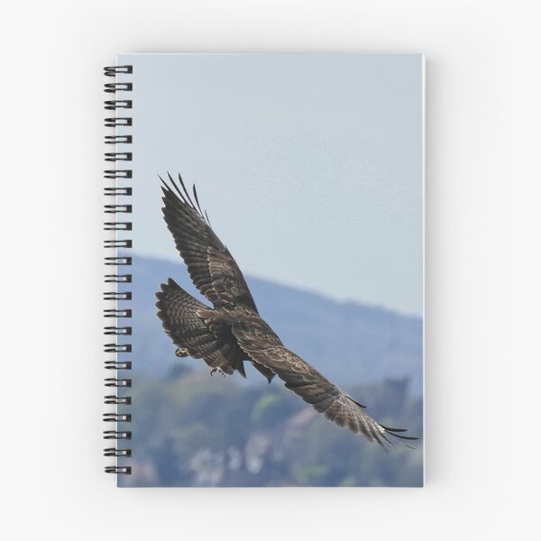 Item preview, Buzzard designed and sold by MelTGazing.