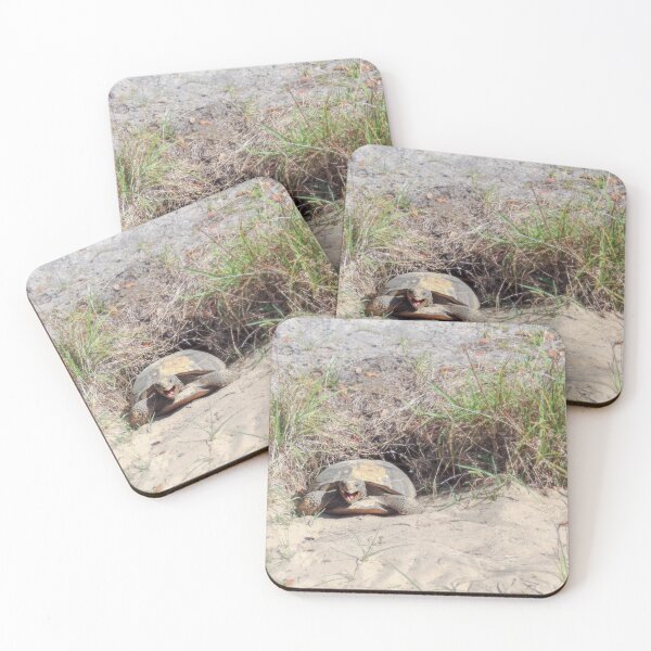 Item preview, Cute Florida Gopher Tortoise  designed and sold by bwheeler.
