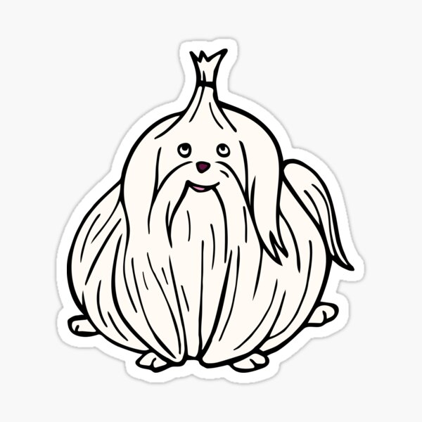 Garlic Maltese Sticker