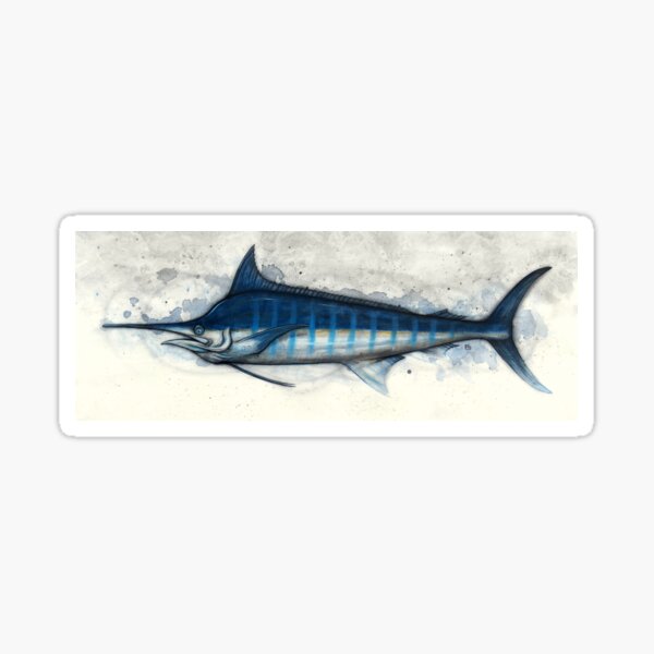 Item preview, Marlin Study designed and sold by A Curious Bestiary.