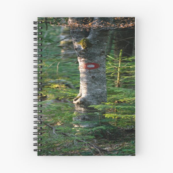 Item preview, Nature photography 2022 designed and sold by BIHSELLER.