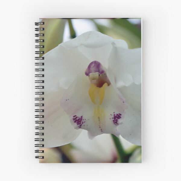 Item preview, Perfection; White-cymbidium orchid; Granada Hills, CA USA designed and sold by leih2008.