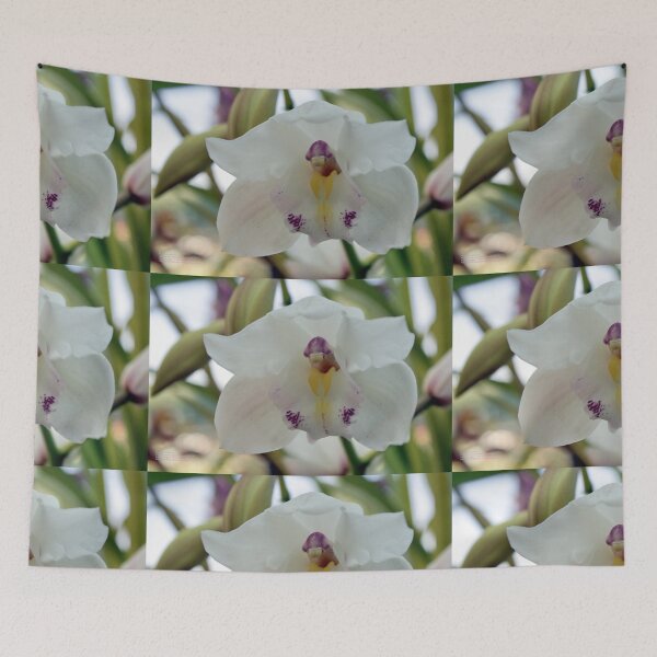 Item preview, Perfection; White-cymbidium orchid; Granada Hills, CA USA designed and sold by leih2008.