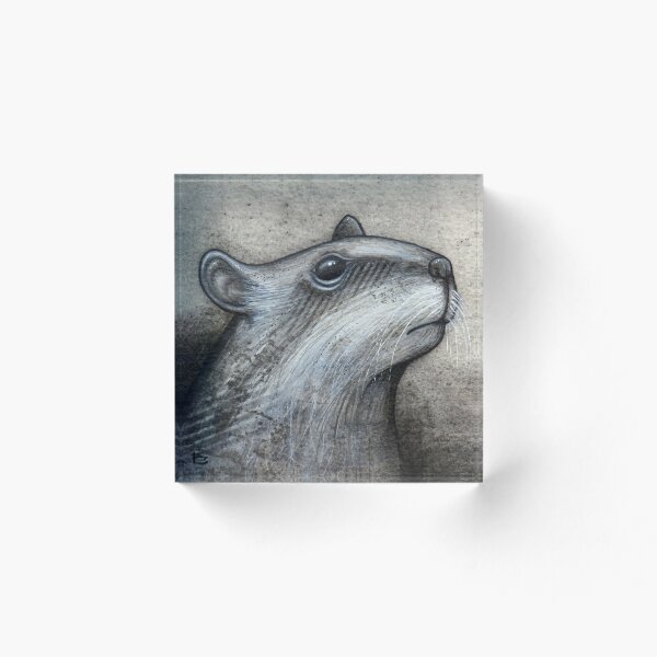 Artikelvorschau, Monochrome Rattenstudie entworfen und verkauft von A Curious Bestiary.