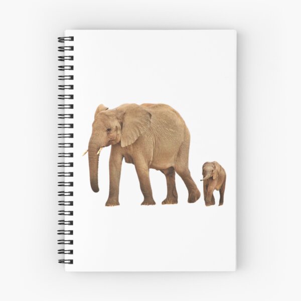 Item preview, Elephant and Baby In South Africa designed and sold by Mark Luckett.