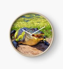 Gator Clock