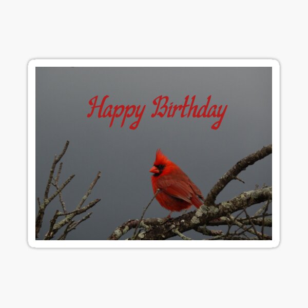 “Happy Birthday Cardinal Card” Sticker by ByCollins | Redbubble