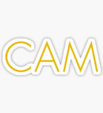 Cam Sticker
