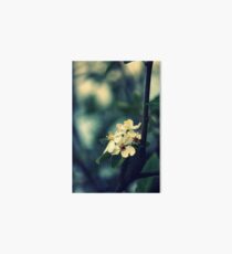 Blossoms At Dusk Art Board