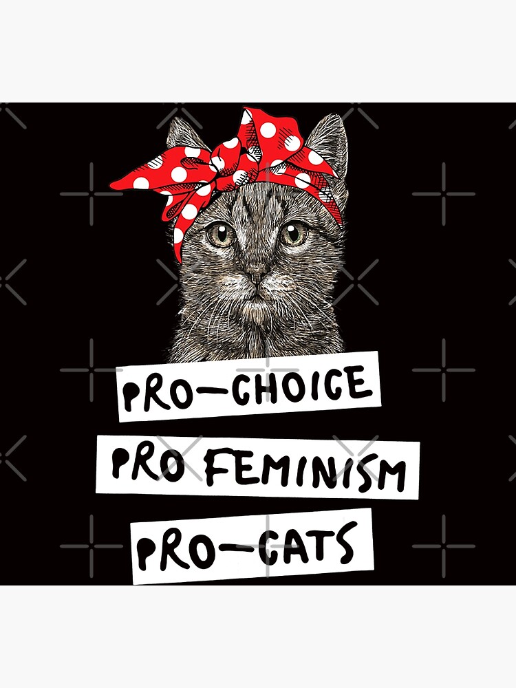 Pro-Choice Pro-Feminism Pro-Cats T Shirt Gift For Women Men