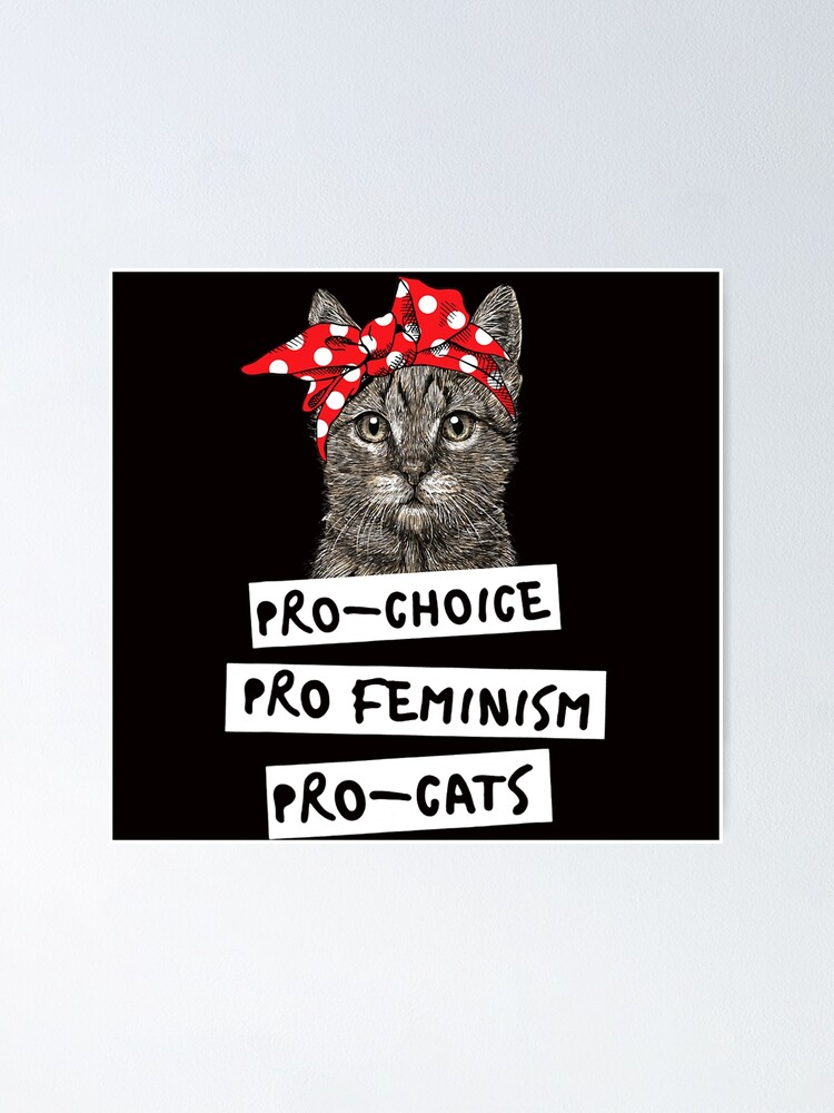 Pro-Choice Pro-Feminism Pro-Cats T Shirt Gift For Women Men