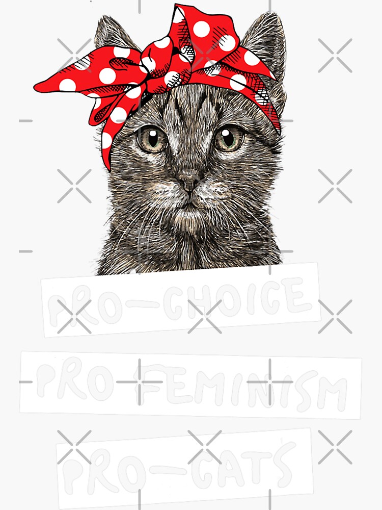 Pro-Choice Pro-Feminism Pro-Cats T Shirt Gift For Women Men