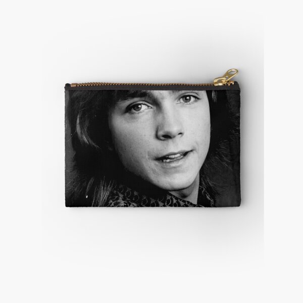 Item preview, David Cassidy 21 Cool Graphic, Vintage, Graphic, For, Hot Search designed and sold by FWREQADU.
