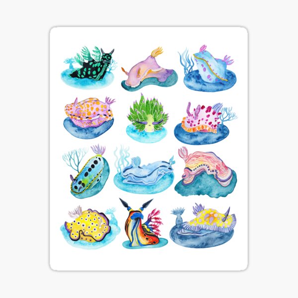 Nudibranchs Sticker