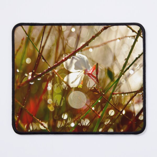 Item preview, Water Orbs designed and sold by CrismanArt.