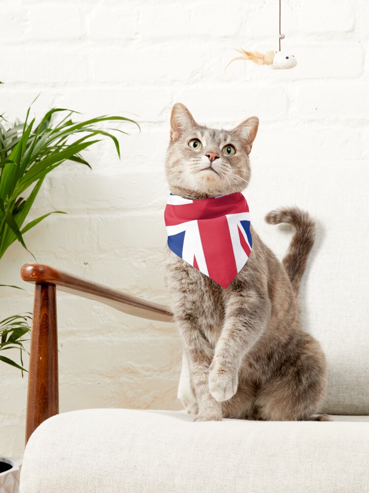 Alternate view of Dog Bandana - British Flag Cute Pet Accessory Pet Bandana