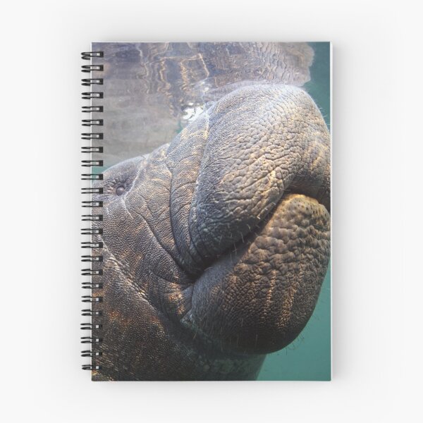 Item preview, Manatee 4 designed and sold by Heidi Ingram.