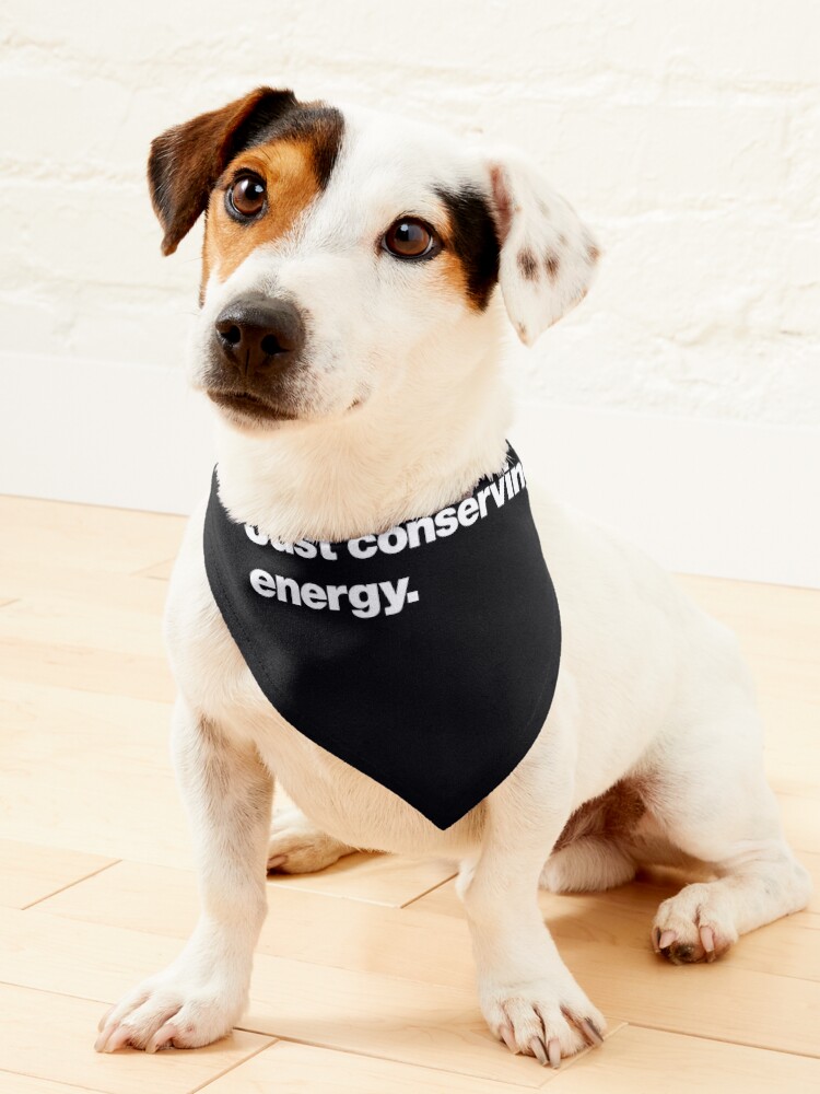 Thumbnail 1 of 6, Pet Bandana, Not lazy. Just conserving energy. designed and sold by chestify.