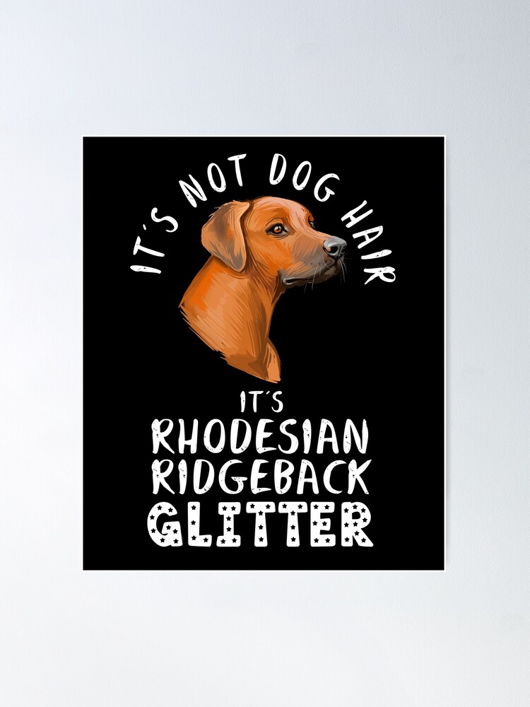 Rhode best sale island ridgeback