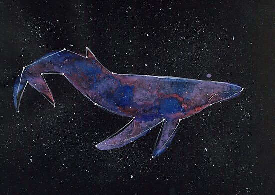 whale constellation