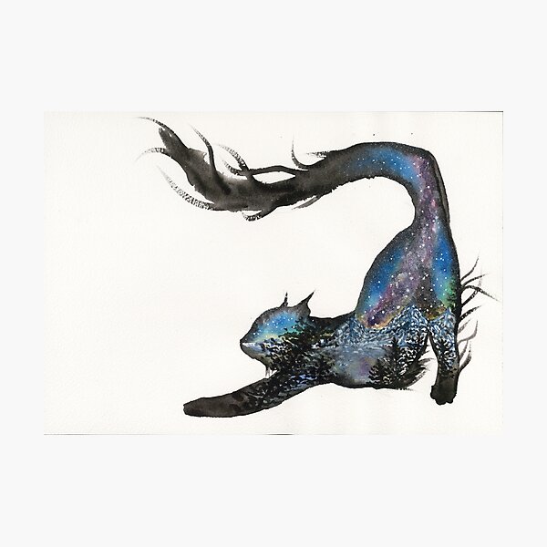 Galaxy Aurora Mountain Cat Photographic Print