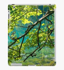 Florida Springs iPad Case/Skin
