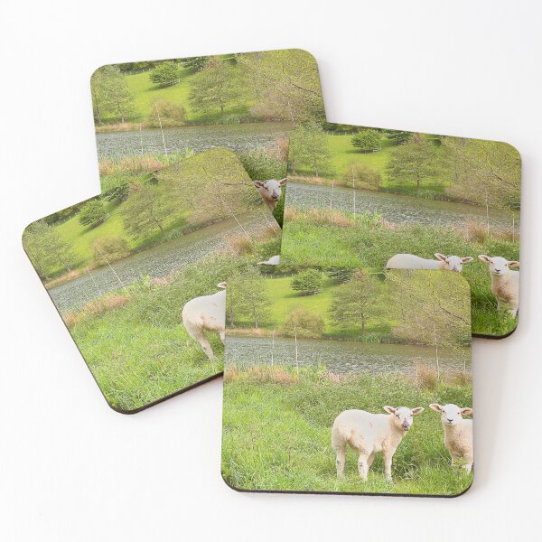 Item preview, Spring lambs, Cotswolds designed and sold by Graz-Photos.