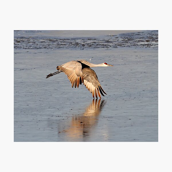 Item preview, There is nothing in this world that does not have a decisive moment... designed and sold by FortPhoto.